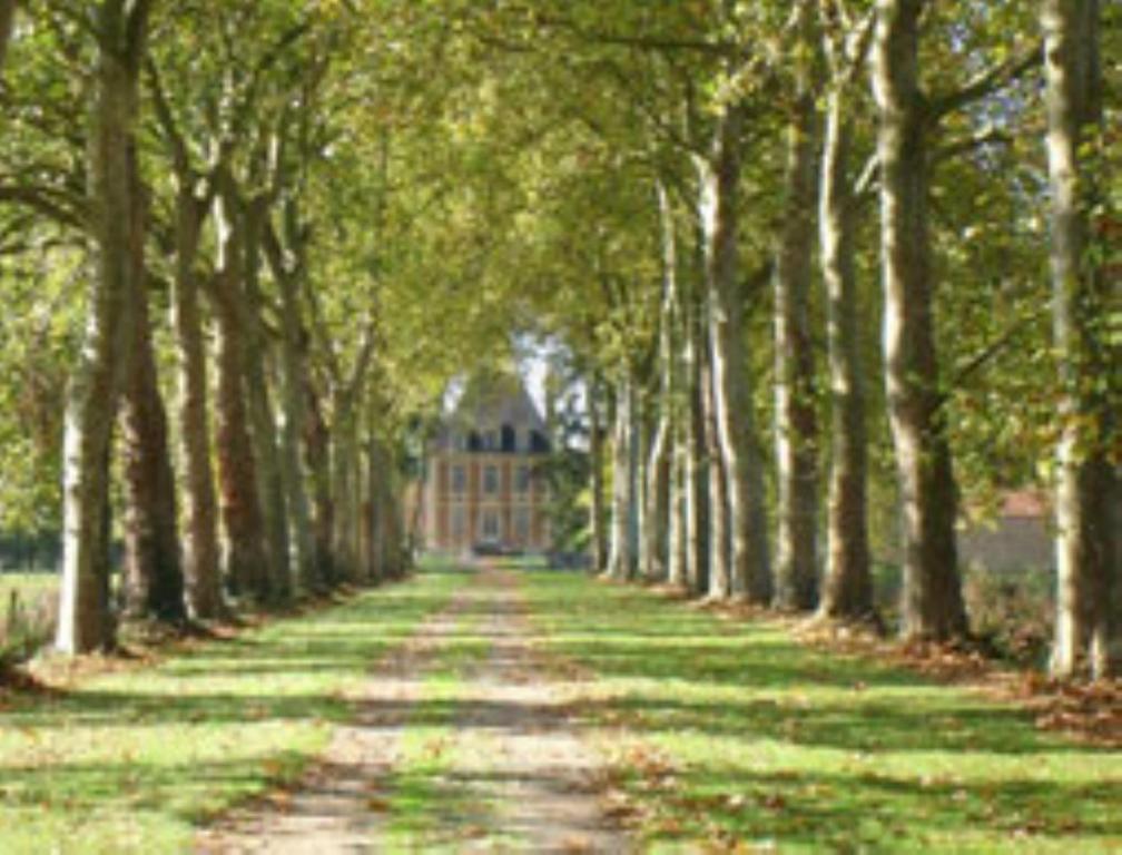 Chateau De Villars Villeneuve-sur-Allier Zewnętrze zdjęcie